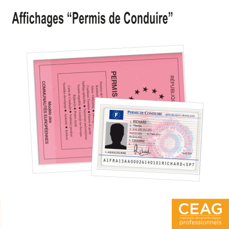 Pochette d'Affichage - Permis de Conduire/Carte Professionnelle