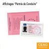 Pochette d'Affichage - Permis de Conduire/Carte Professionnelle