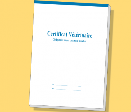 Chat - Certificat Vétérinaire avant cession
