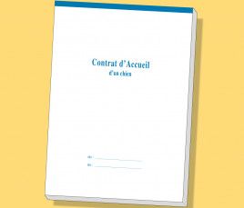 Chien - Carnet Contrat d'Accueil