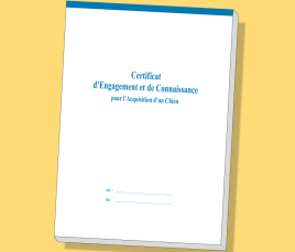 Certificat d'Engagement et de Connaissance - Chien