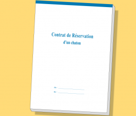 Chaton - Carnet Contrat de Réservation