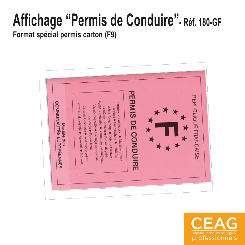 Pochette d'Affichage - Permis de Conduire/Carte Professionnelle