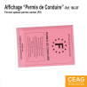 Pochette d'Affichage - Permis de Conduire/Carte Professionnelle